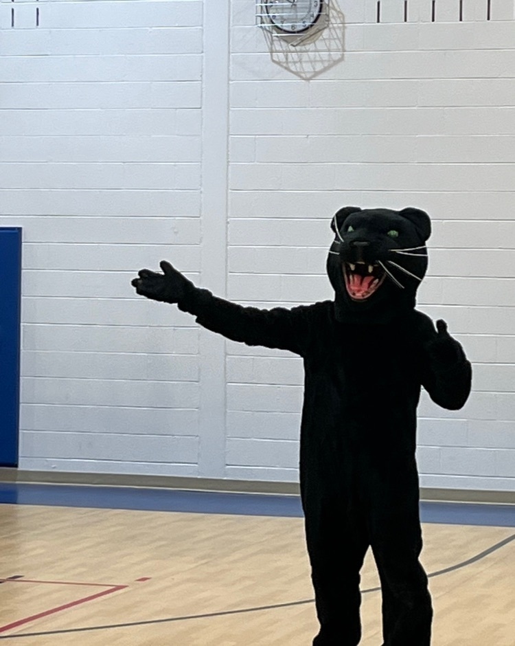 panther for assembly 